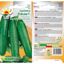 Nasiona Ogórek pod osłony Pokusa Tor122