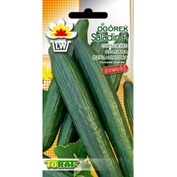 Nasiona Ogórek pod osłony Saladin Tor124