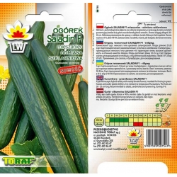 Nasiona Ogórek pod osłony Saladin Tor124