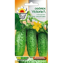  Nasiona Ogórek VicToria wczesna Tor130
