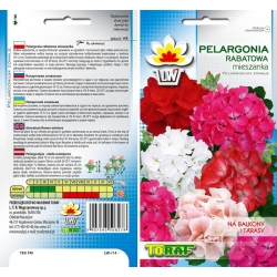 Nasiona Pelargonia Rabatowa Tor429