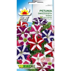 Nasiona Petunia niska Gwieździsta Tor426