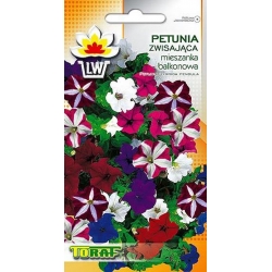 Nasiona Petunia zwisająca Tor425