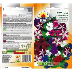 Nasiona Petunia zwisająca Tor425