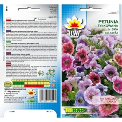 Nasiona Petunia niska Żyłkowana Tor427