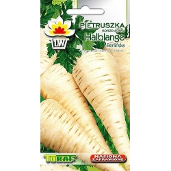 Nasiona Pietruszka HALBLANGE Berlińska Tor145