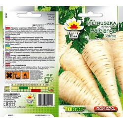 Nasiona Pietruszka HALBLANGE Berlińska Tor145