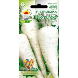  Nasiona Pietruszka OŁOMUŃCKA późna Tor147