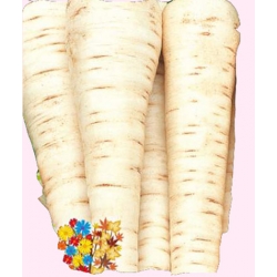 Nasiona Pietruszka VISTULA średnio późna Tor148