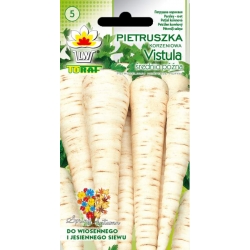 Nasiona Pietruszka VISTULA średnio późna Tor148