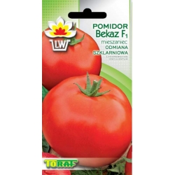 Nasiona Pomidor szklarniowy BEKAZ Tor172