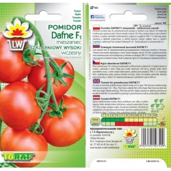 Nasiona Pomidor szklarniowy DAFNE Tor170