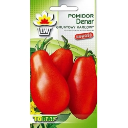 Nasiona Pomidor gruntowy karłowy DENAR Tor164