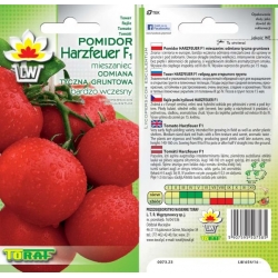 Nasiona Pomidor gruntowy Harzfeuer Tor160