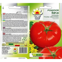 Nasiona Pomidor gruntowy IKARUS Tor161
