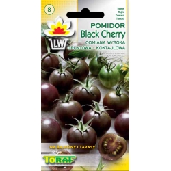 Nasiona Pomidor gruntowy BLACK CHERRY Tor153
