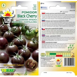 Nasiona Pomidor gruntowy BLACK CHERRY Tor153