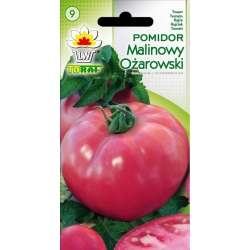  Nasiona Pomidor gruntowy Malinowy Ożar Tor156