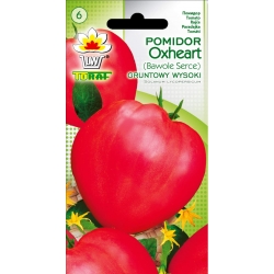Nasiona Pomidor gruntowy Bawole Serce Tor158