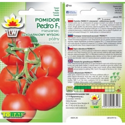  Nasiona Pomidor szklarniowy PEDRO Tor171