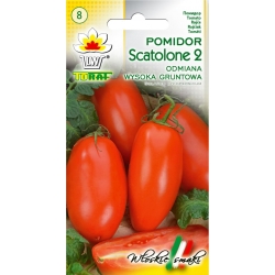 Nasiona Pomidor gruntowy SCATOLONE Tor162