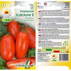 Nasiona Pomidor gruntowy SCATOLONE Tor162