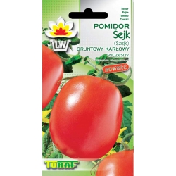 Nasiona Pomidor gruntowy karłowy Szejk Tor163