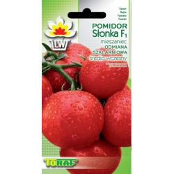 Nasiona Pomidor szklarniowy SŁONKA Tor173