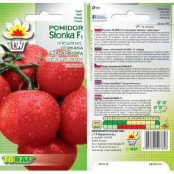 Nasiona Pomidor szklarniowy SŁONKA Tor173