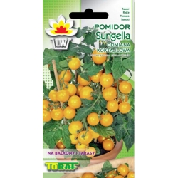 Nasiona Pomidor koktail SUNGELLA żółty Tor168