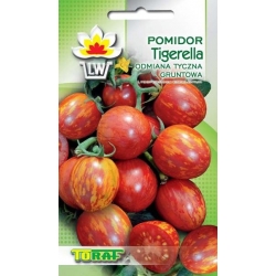 Nasiona Pomidor gruntowy TIGERELLA Tor167