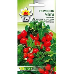  Nasiona Pomidor gruntowy karłowy VILMA Tor165