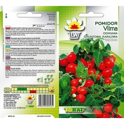  Nasiona Pomidor gruntowy karłowy VILMA Tor165