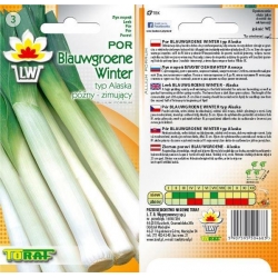  Nasiona Por Blauwgroene Winter późny Tor174