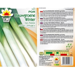  Nasiona Por Blauwgroene Winter późny Tor174