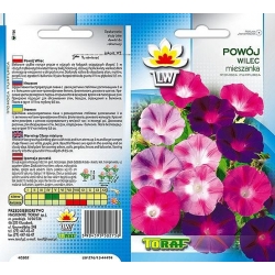  Nasiona Powój Wilec Tor435