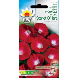 Nasiona Powój Wilec SCARLET OHARA Tor434