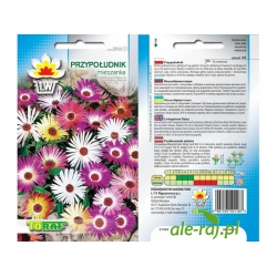 Nasiona Przypołudnik Tor436