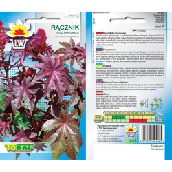  Nasiona Rącznik Kasztanowiec Tor438