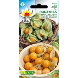 Nasiona Rodzynek Brazylijski Tor181