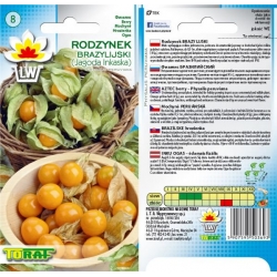 Nasiona Rodzynek Brazylijski Tor181