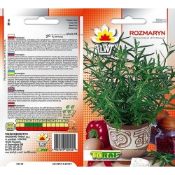 Nasiona Rozmaryn Tor604