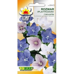 Nasiona Rozwar Platykodon Tor439