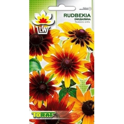 Nasiona Rudbekia dwubarwna Tor440