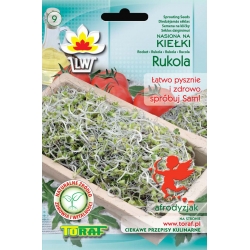 Nasiona na kiełki Rukola Tor543