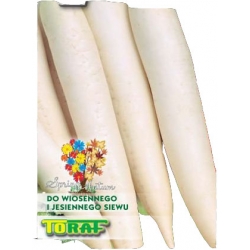  Nasiona Rzodkiew AsTor biała Tor186