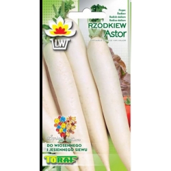  Nasiona Rzodkiew AsTor biała Tor186