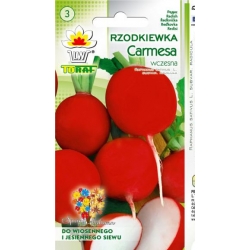  Nasiona Rzodkiewka Carmen czerwona Tor189