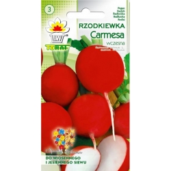Nasiona Rzodkiewka Carmesa czerwona Tor190