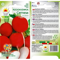 Nasiona Rzodkiewka Carmesa czerwona Tor190